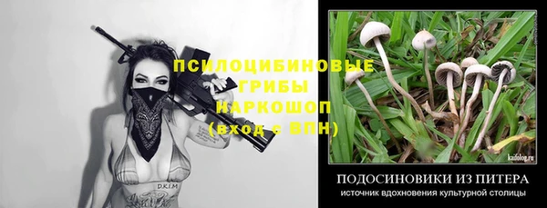 гидропоника Новозыбков