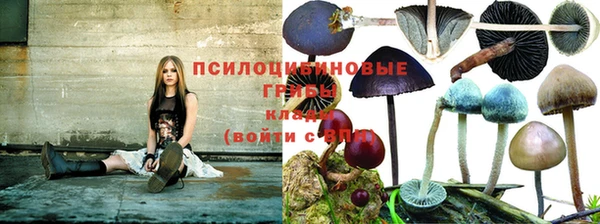 кокаин VHQ Новодвинск