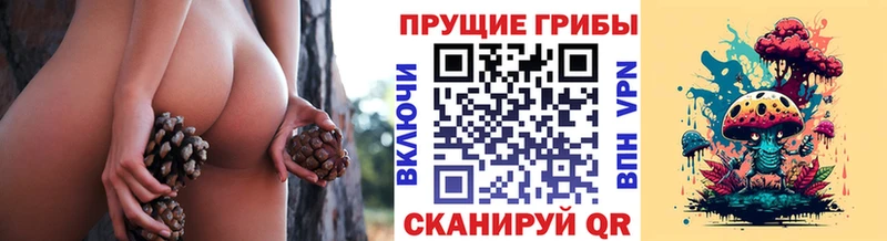 Купить  Чебоксары  Псилоцибиновые грибы Psilocybine cubensis 